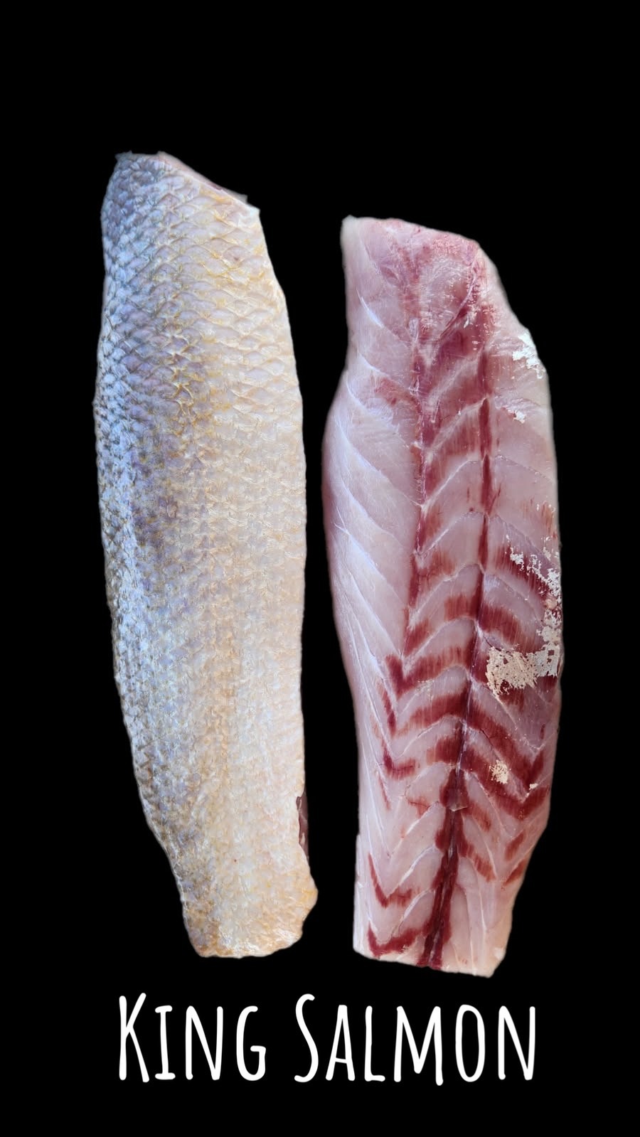Wild Caught King Salmon ( Skin On ) 5kg
